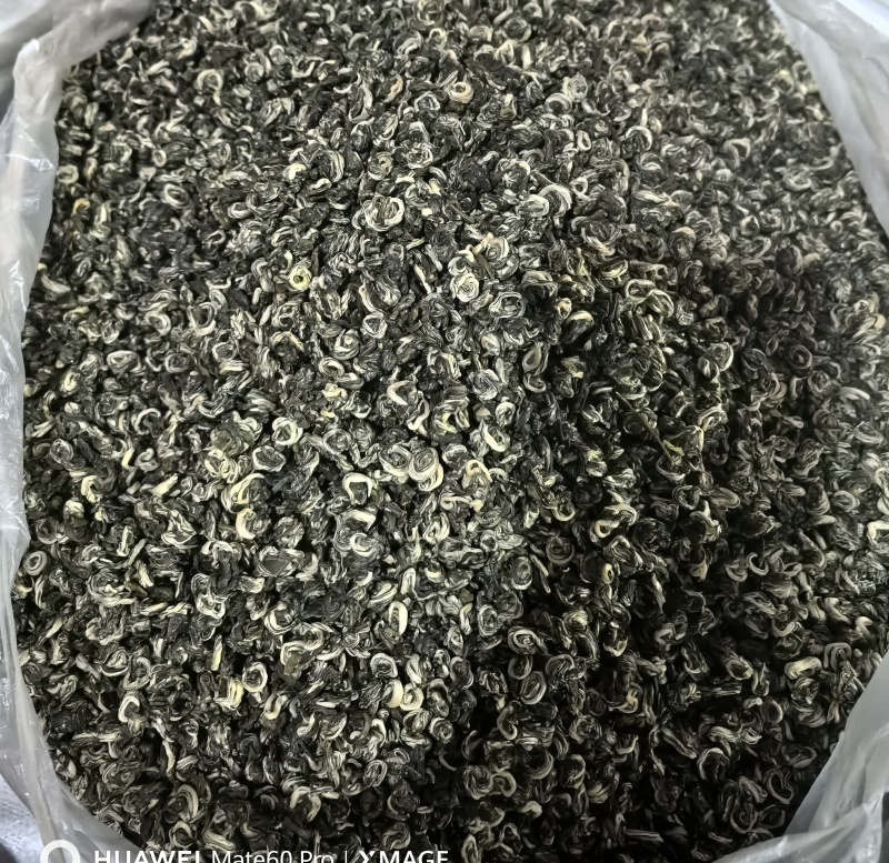 普洱碧螺春：量大从优，年底回赠。