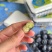 高原蓝莓脆甜多汁精品高品质