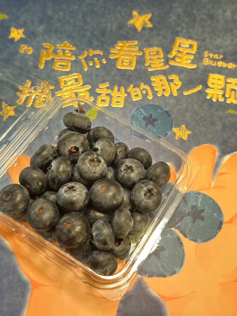 高原蓝莓脆甜多汁精品高品质