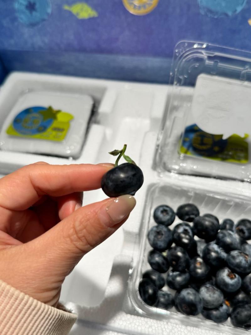 高原蓝莓脆甜多汁精品高品质