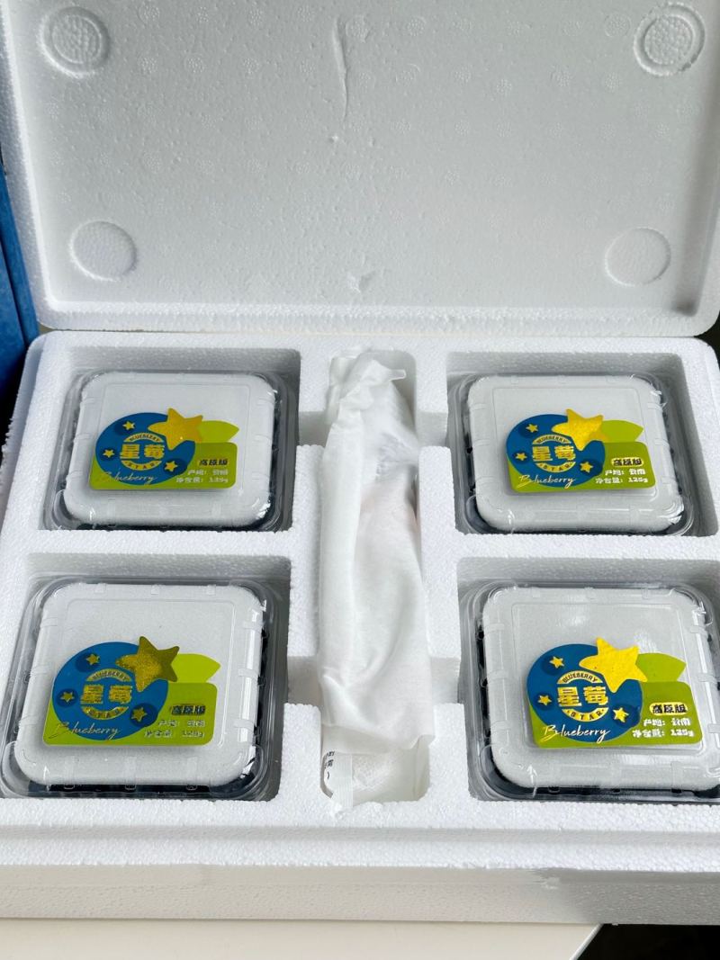 高原蓝莓脆甜多汁精品高品质