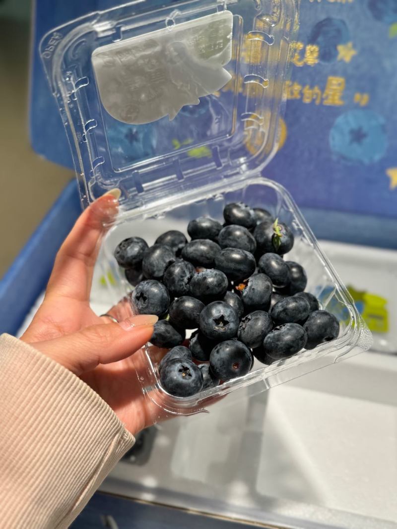 高原蓝莓脆甜多汁精品高品质