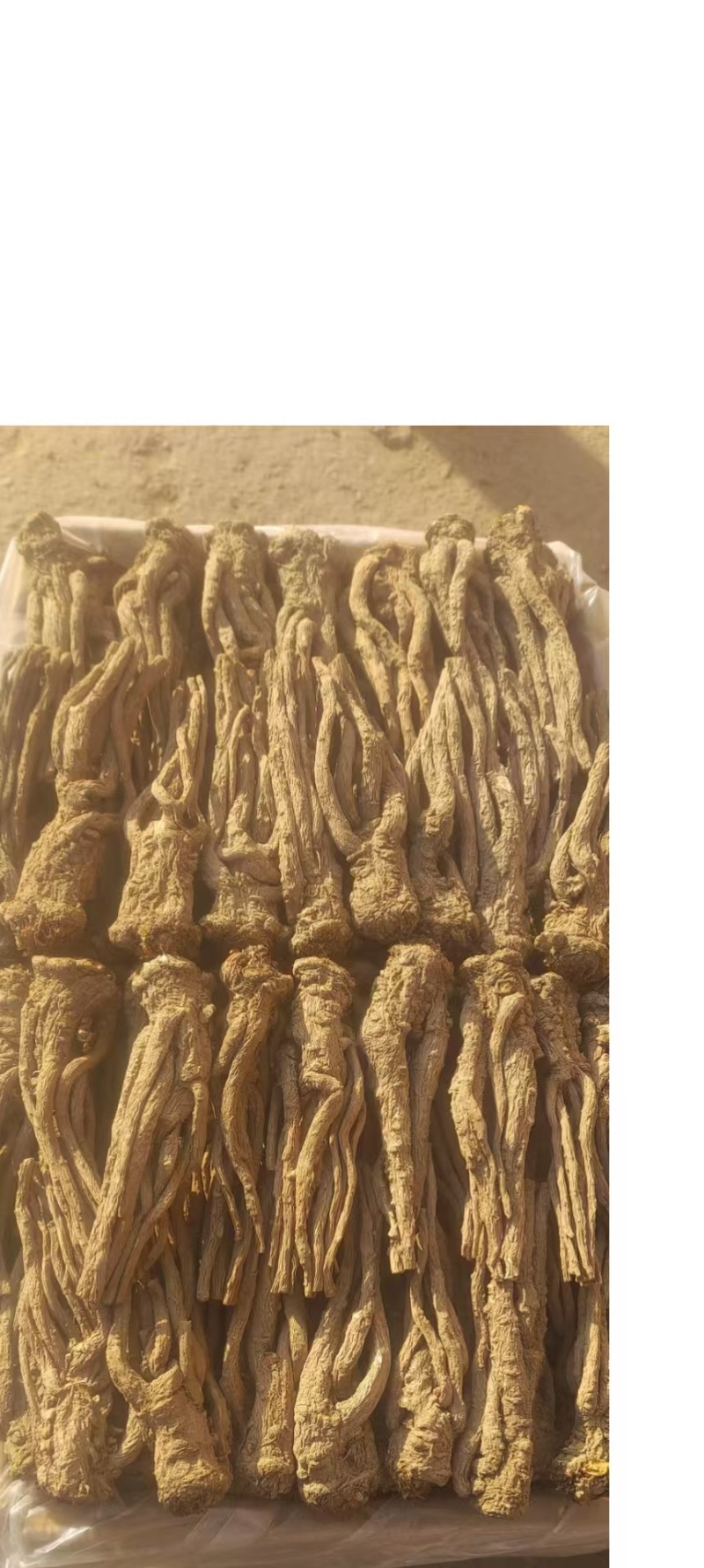 无硫精品半成品当归量大从优可视频看货产地直发一手货源