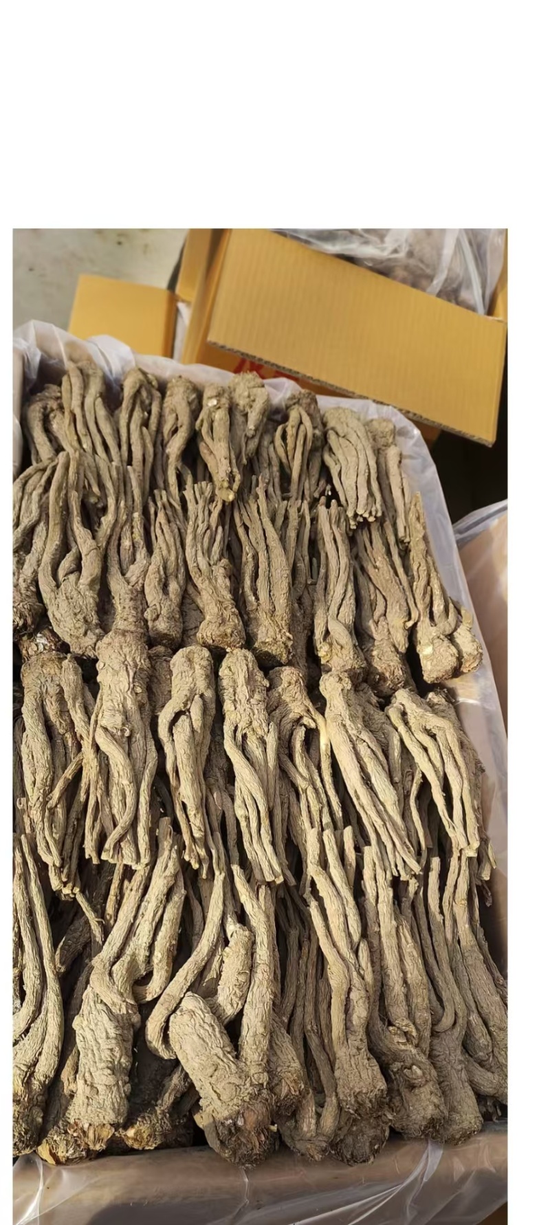 无硫精品半成品当归量大从优可视频看货产地直发一手货源