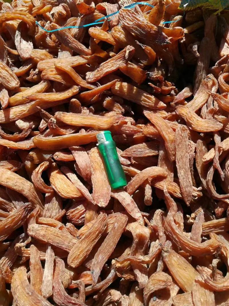 吉林红天麻