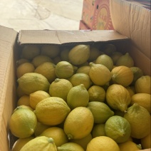 广东香水柠檬一级黄果