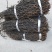精品干豆角大量有货产地直销品质保证欢迎打电话咨询