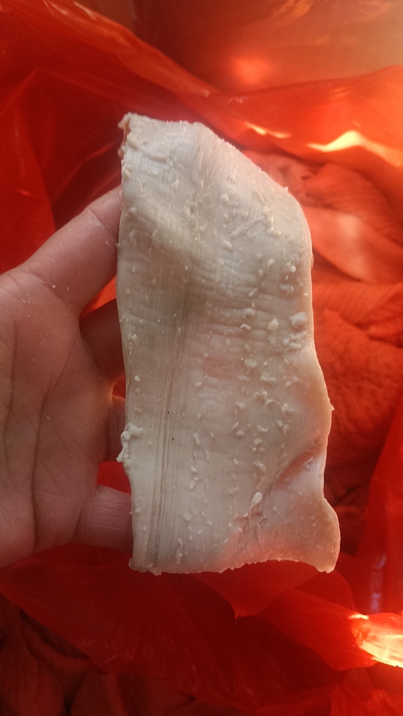 【热卖】牛大肠无油干净质量杠杠的产地直发量大价优对接全国