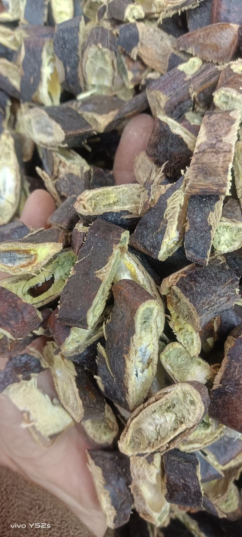 皂荚各种中药材名贵药材冷背药材代加工打粉压片做丸子配方子