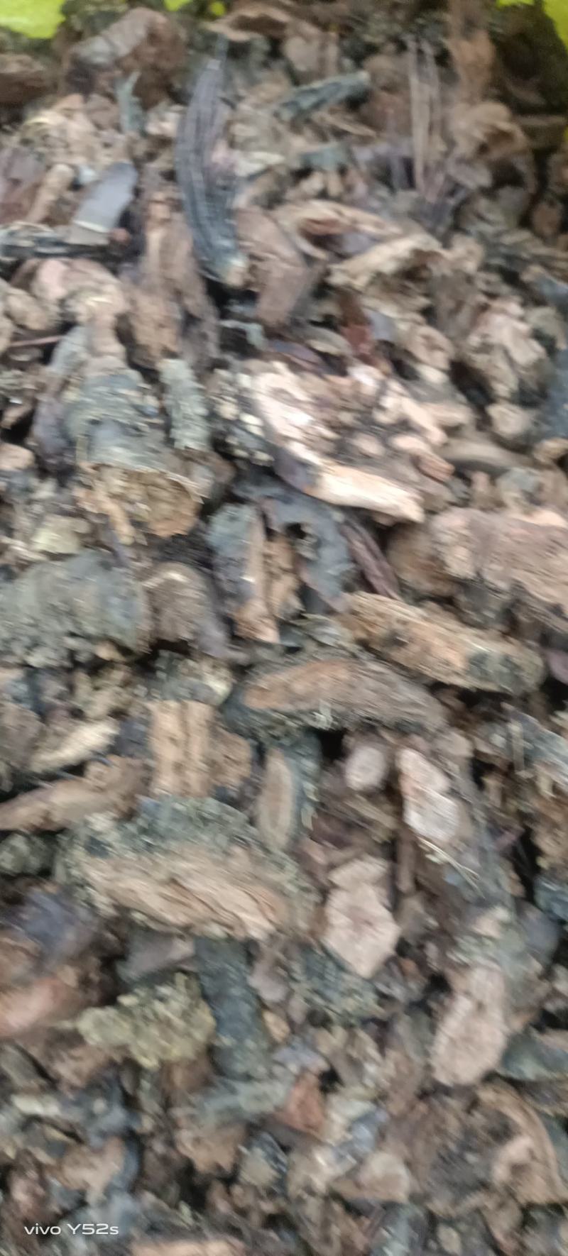红景天，各种中药材，中药饮片普通和公司都有，需要的就行动