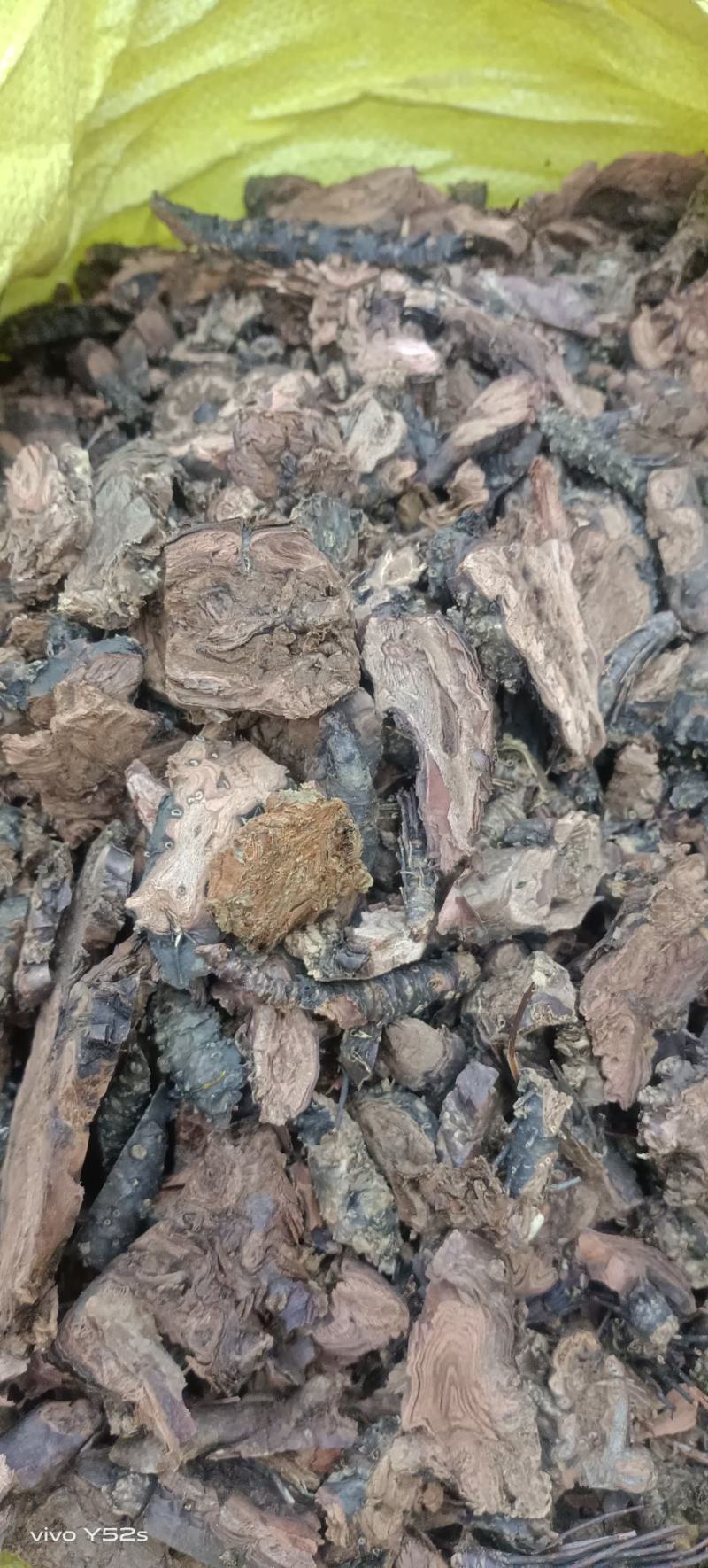 红景天，各种中药材，中药饮片普通和公司都有，需要的就行动