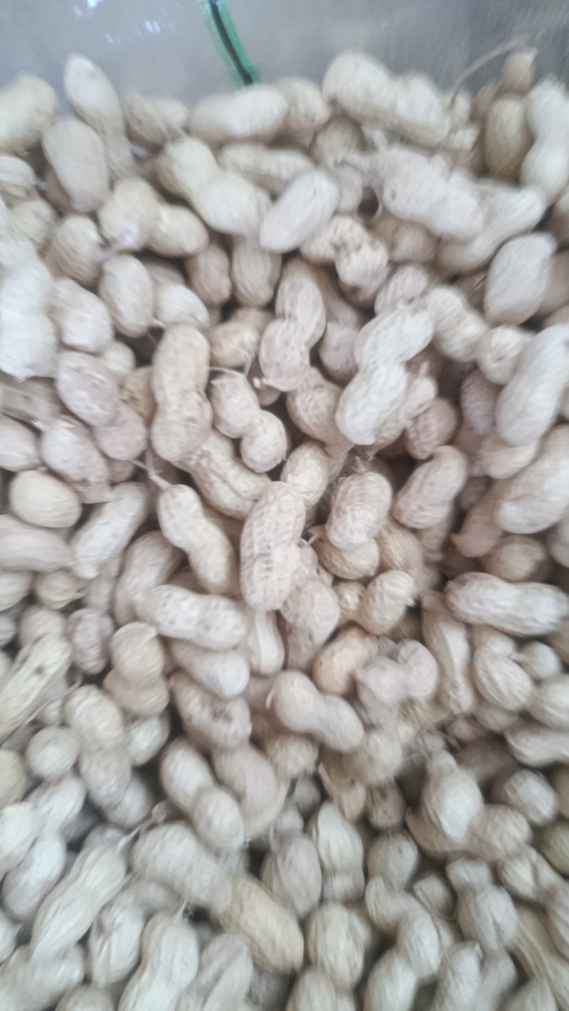 一级炒货花生果