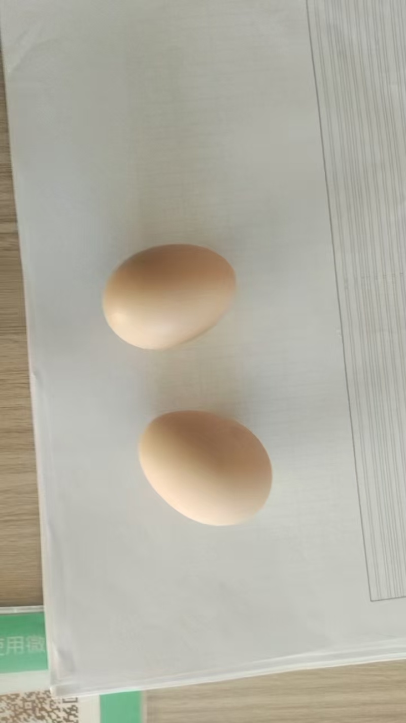 精品鸡蛋粉蛋25-46斤/件量大从优欢迎来电咨询