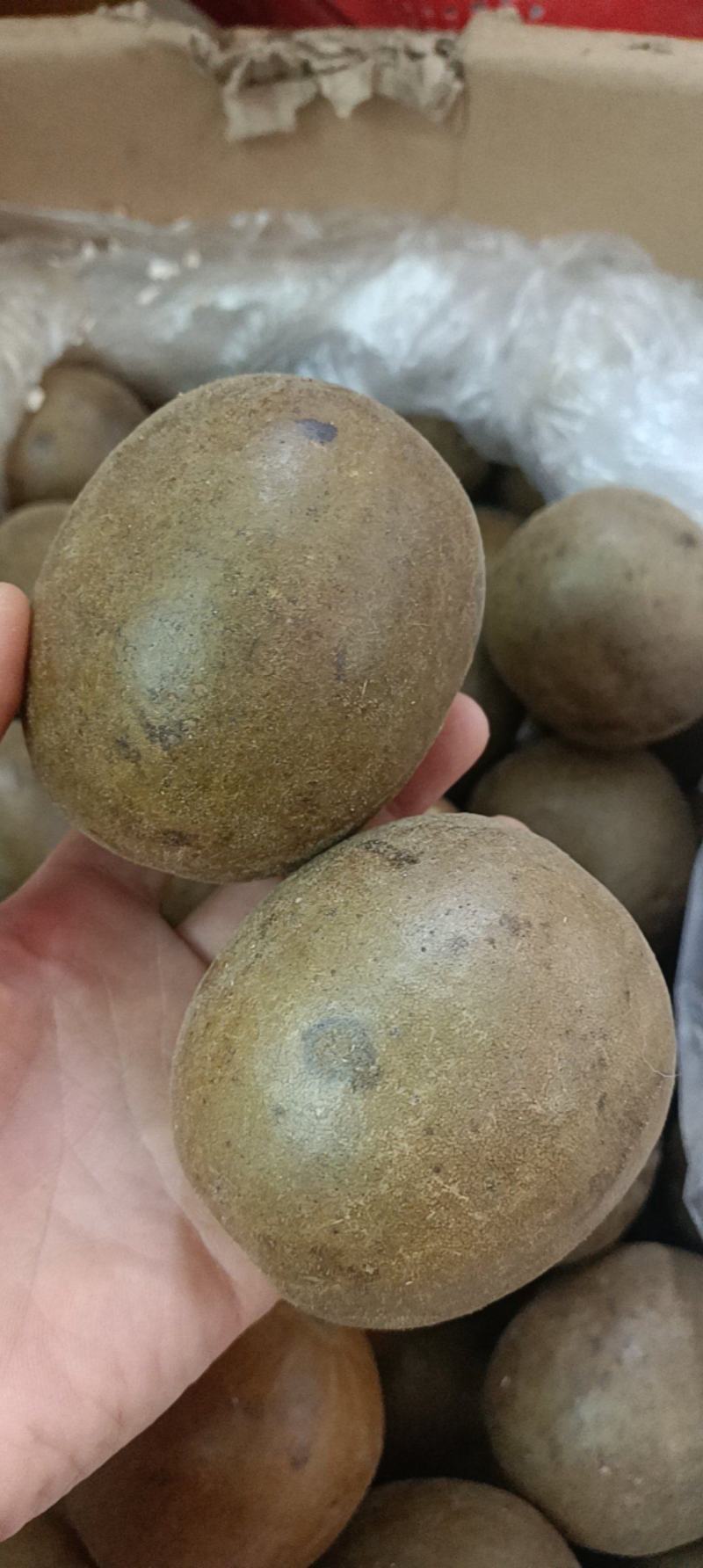 罗汉果，各种泡水的花茶，品种多，货品齐有需要的老板可以联