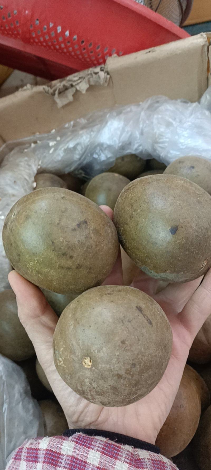 罗汉果，各种泡水的花茶，品种多，货品齐有需要的老板可以联