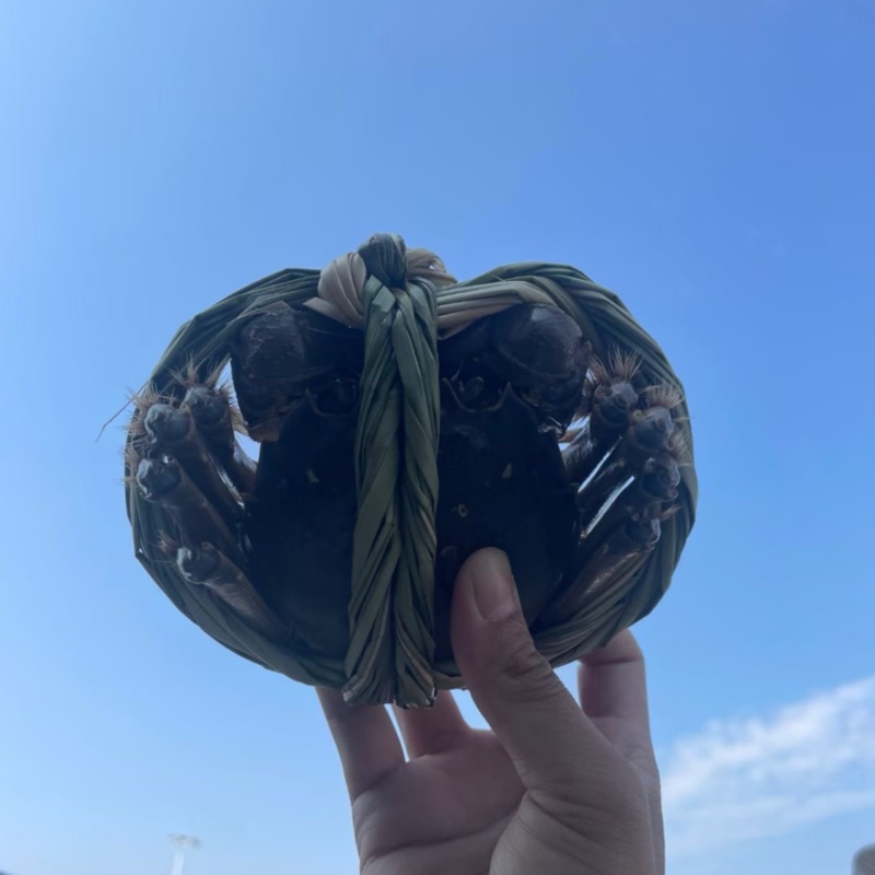 大闸蟹