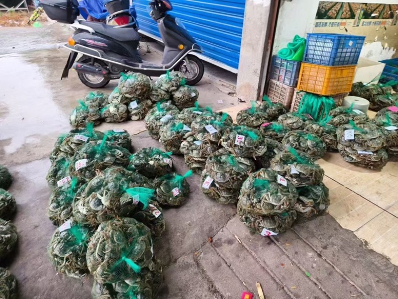 大闸蟹