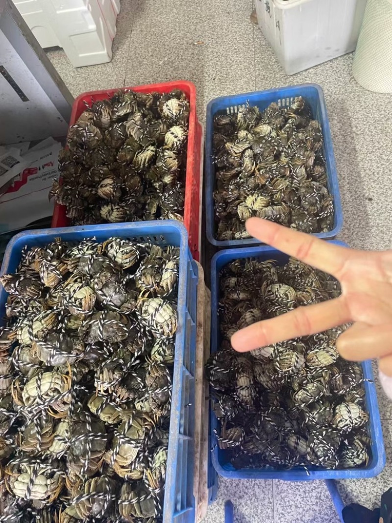 大闸蟹