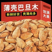包邮新货薄壳巴旦木刀果龙果手剥纸皮大NP奶香盐焗量大优惠