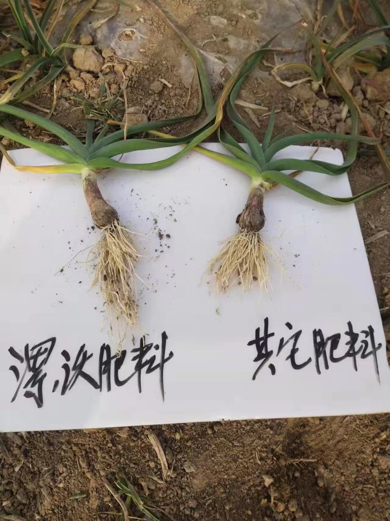 土壤修复功能性肥料保水保肥抗盐碱化土壤板结掺混肥料