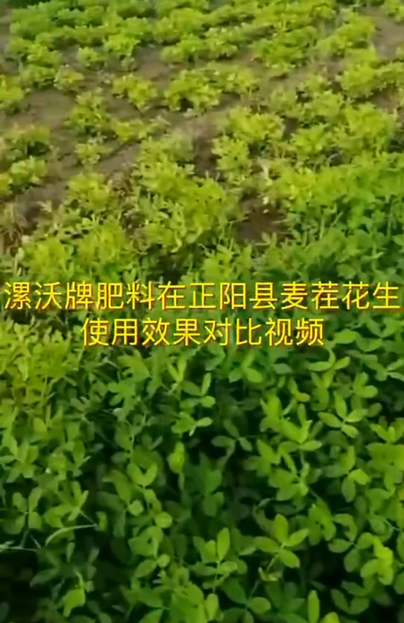 土壤修复功能性肥料保水保肥抗盐碱化土壤板结掺混肥料