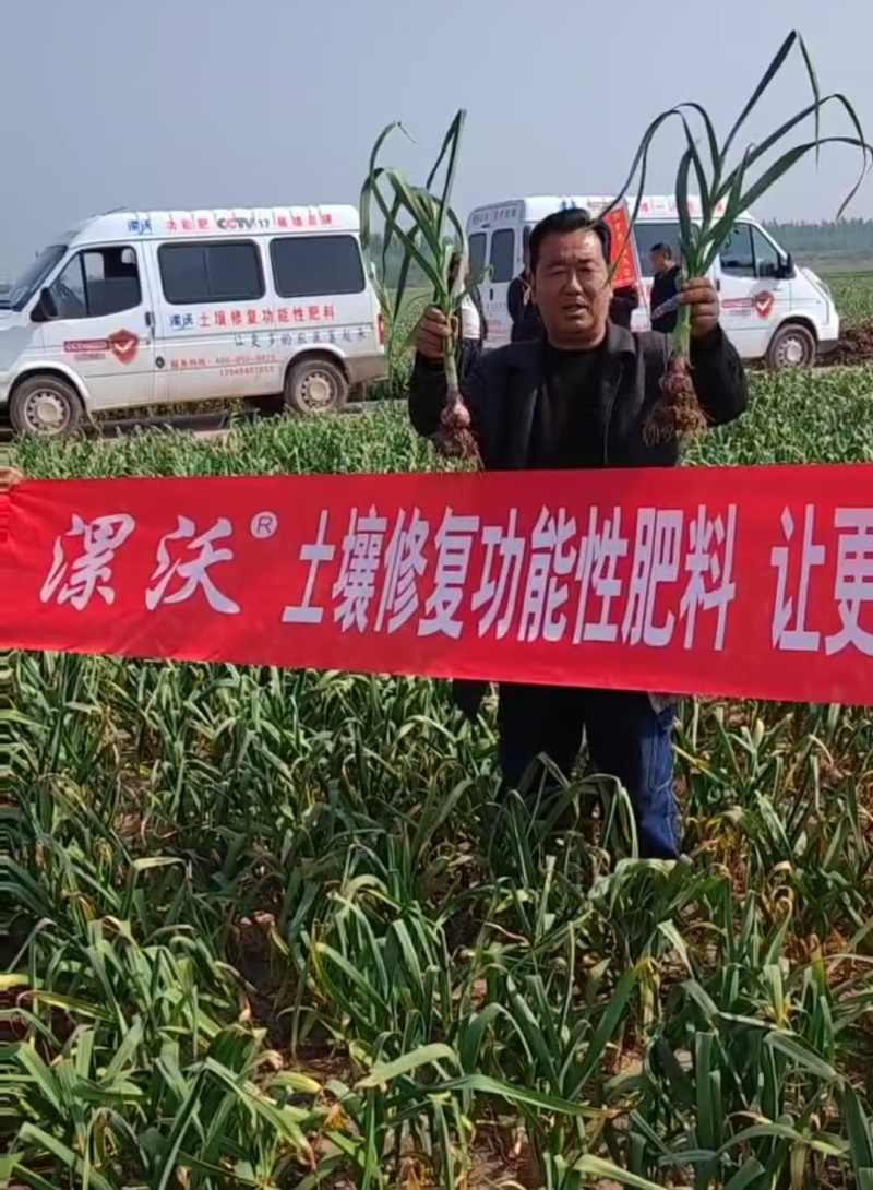 土壤修复功能性肥料保水保肥抗盐碱化土壤板结掺混肥料