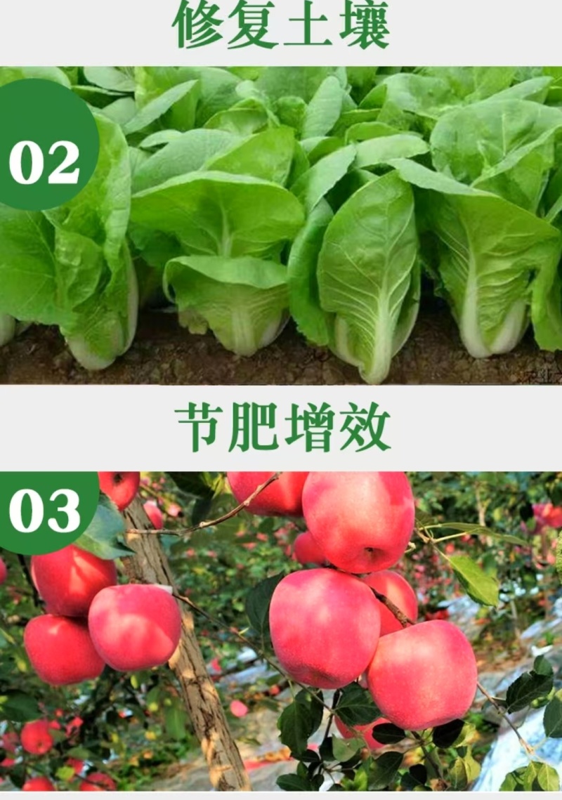 土壤修复功能性肥料保水保肥抗盐碱化土壤板结掺混肥料