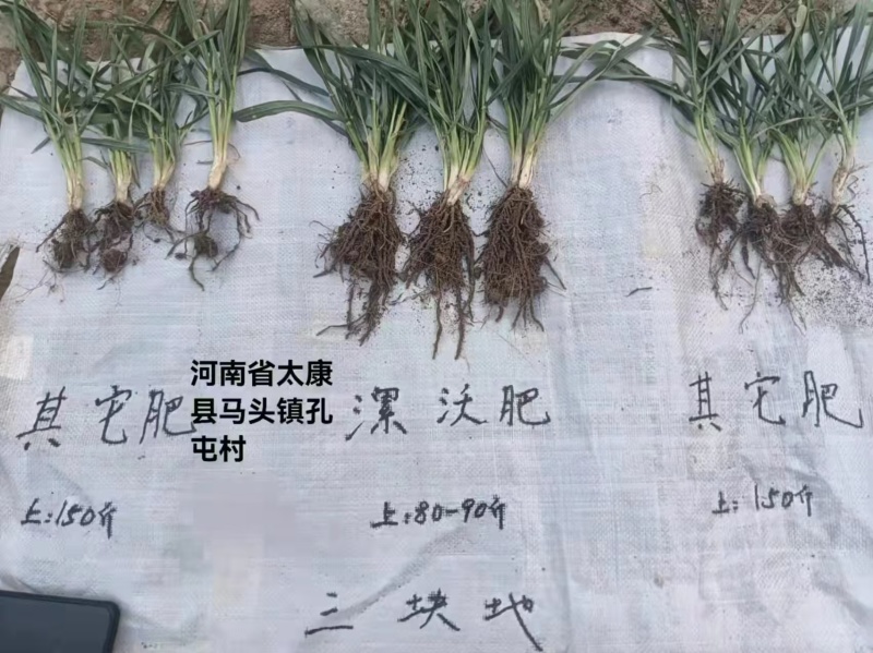 土壤修复功能性肥料保水保肥抗盐碱化土壤板结掺混肥料