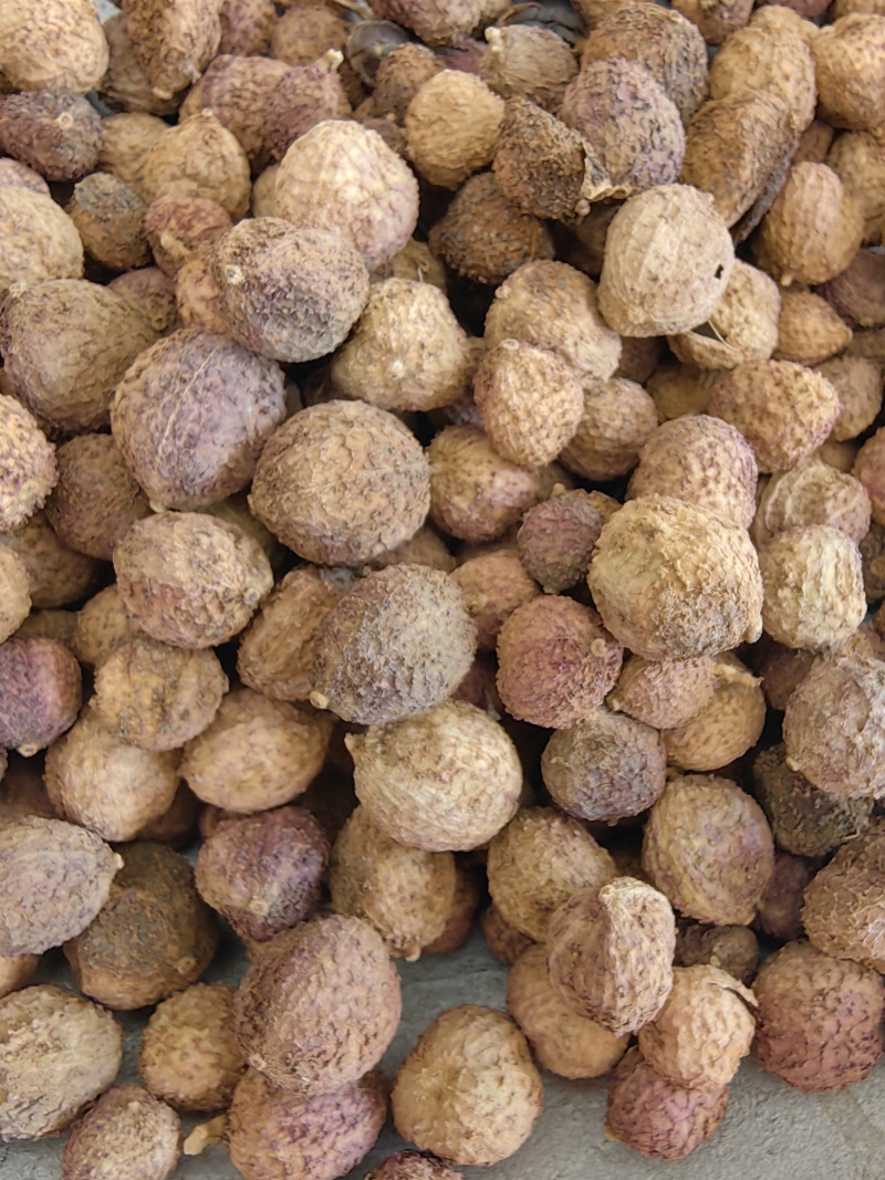阳春砂国产云南优质无硫砂仁产地直销一手货源批发各种中药材