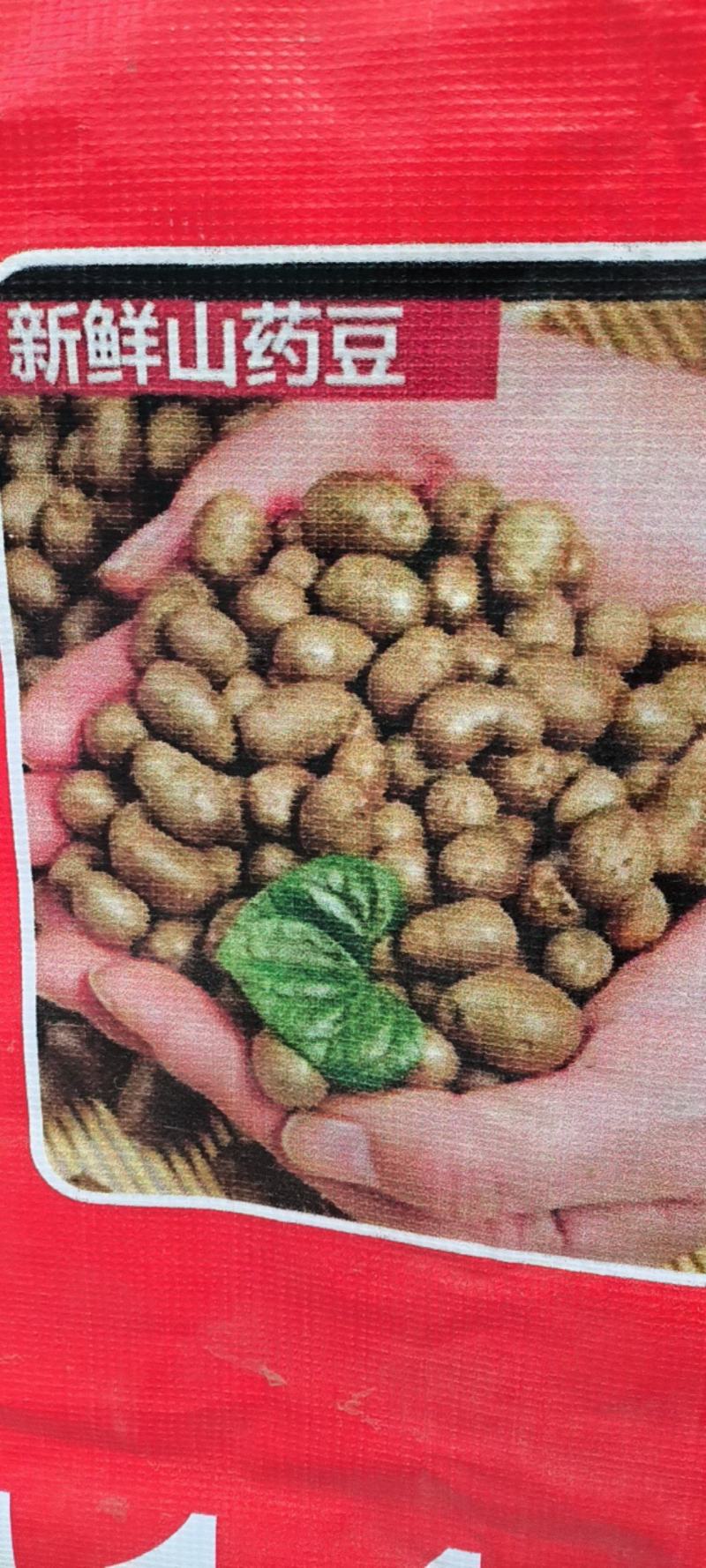 新鲜山药豆，量大！量大！量大！