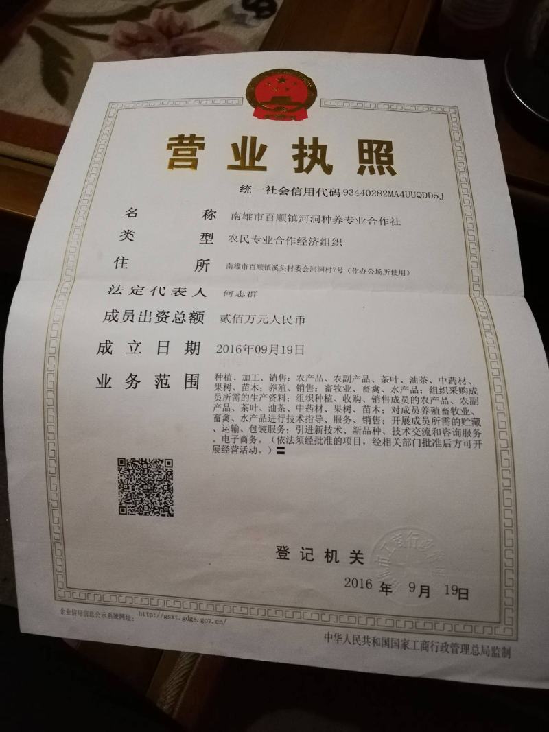 种养专业合作社林间散养原生态无污染肉质鲜美芦花鸡纯粮稻谷