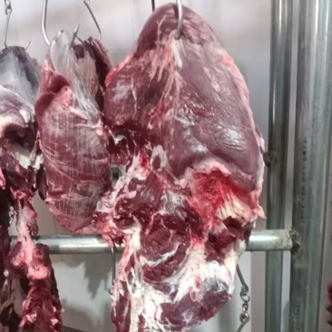 纯干鲜牛肉品质好价格优惠全年供应可视频看货验货欢迎咨询