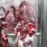 纯干鲜牛肉品质好价格优惠全年供应可视频看货验货欢迎咨询