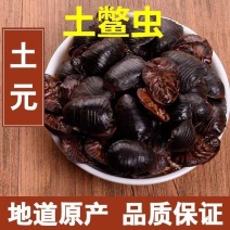 中药材中华野生正品土鳖虫簸箕虫可打粉鳖土虫特级土元地鳖虫