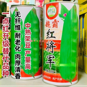 东北超霸红将军油豆种子大号高产