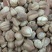 白豆寇实物拍摄无美颜，各种香料批发可代加工打粉压片做丸