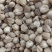白豆寇实物拍摄无美颜，各种香料批发可代加工打粉压片做丸