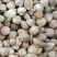 白豆寇实物拍摄无美颜，各种香料批发可代加工打粉压片做丸