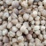 白豆寇实物拍摄无美颜，各种香料批发可代加工打粉压片做丸