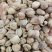 白豆寇实物拍摄无美颜，各种香料批发可代加工打粉压片做丸