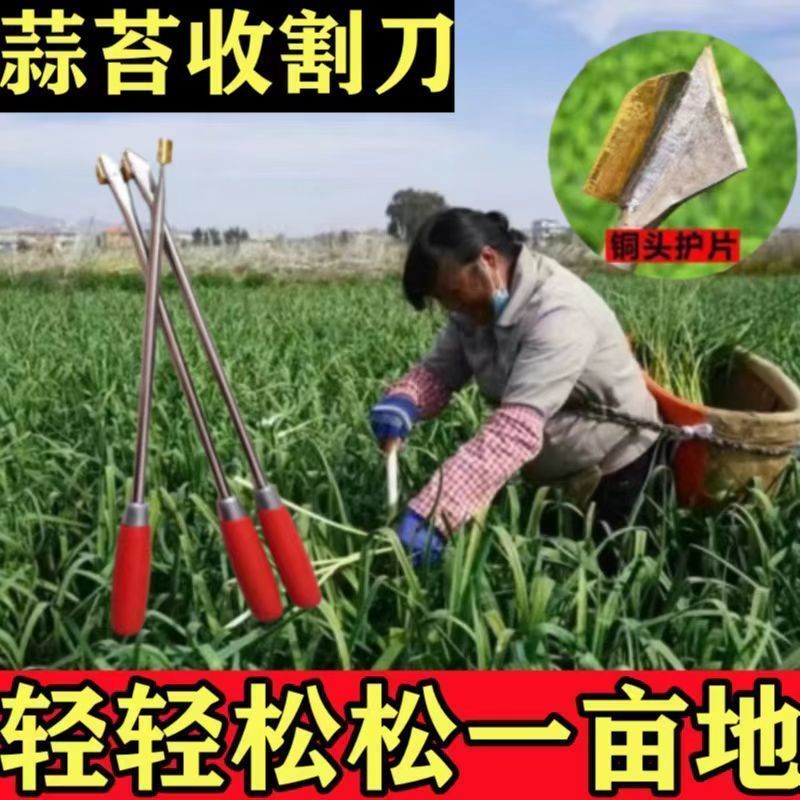 抽蒜苔剥蒜苔神器打蒜台的工具划蒜苔快速拔剔蒜薹提摘蒜苔收