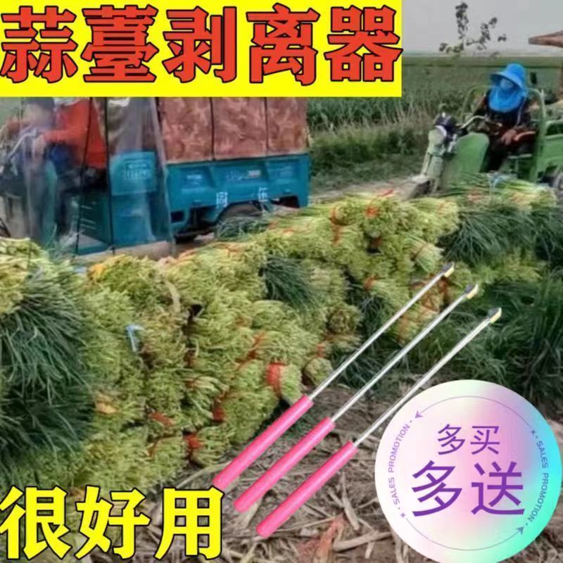 抽蒜苔剥蒜苔神器打蒜台的工具划蒜苔快速拔剔蒜薹提摘蒜苔收