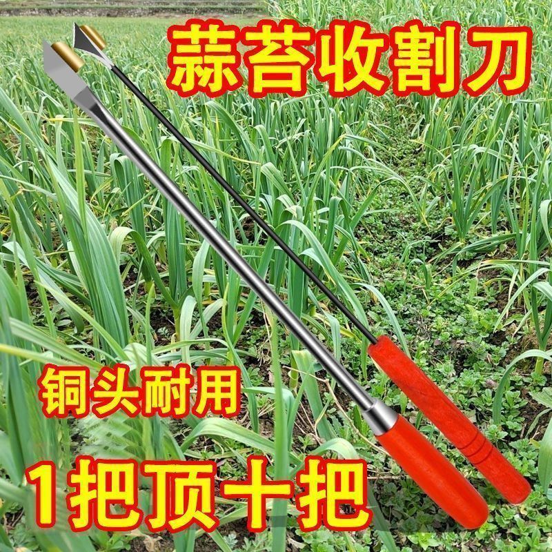 抽蒜苔剥蒜苔神器打蒜台的工具划蒜苔快速拔剔蒜薹提摘蒜苔收