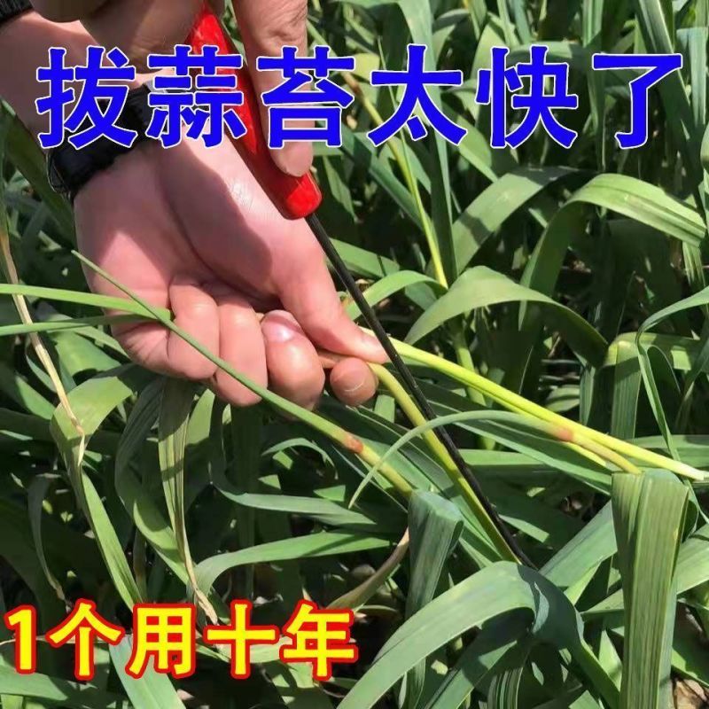 抽蒜苔剥蒜苔神器打蒜台的工具划蒜苔快速拔剔蒜薹提摘蒜苔收