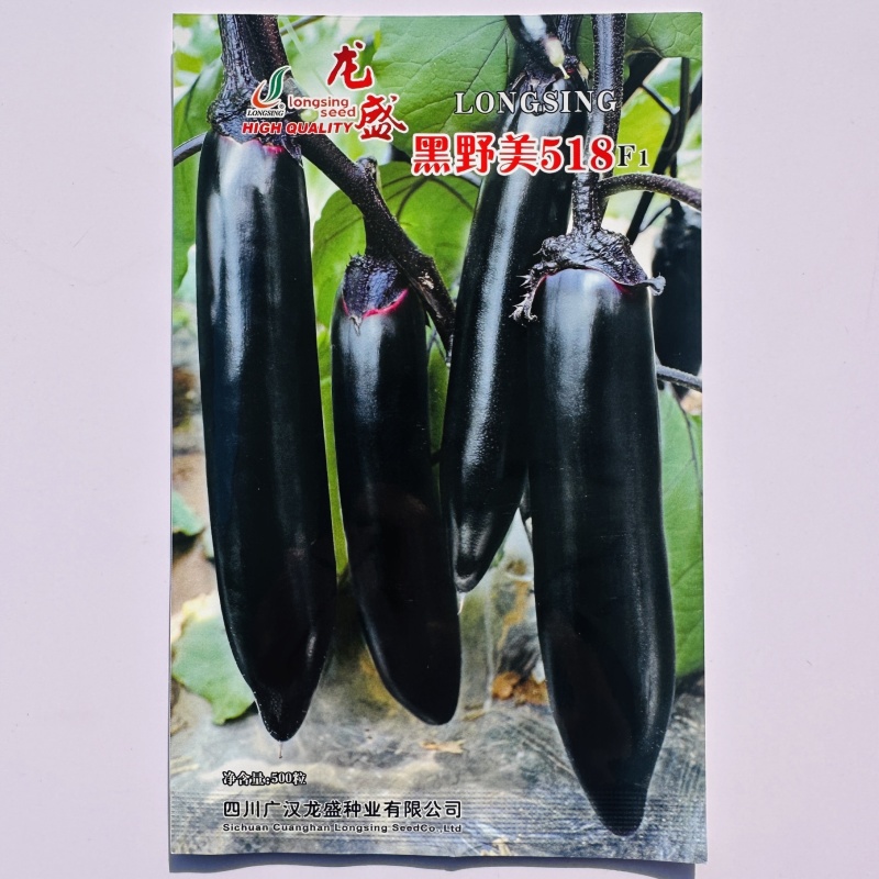 黑野美518油黑长条茄子种子果肉淡绿早熟顺直黑长茄种子