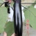黑野美518油黑长条茄子种子果肉淡绿早熟顺直黑长茄种子