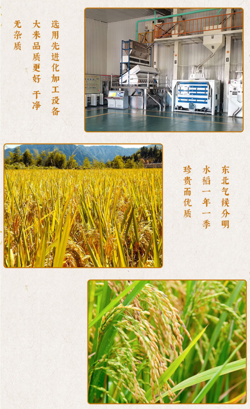 盘锦蟹田新大米批发