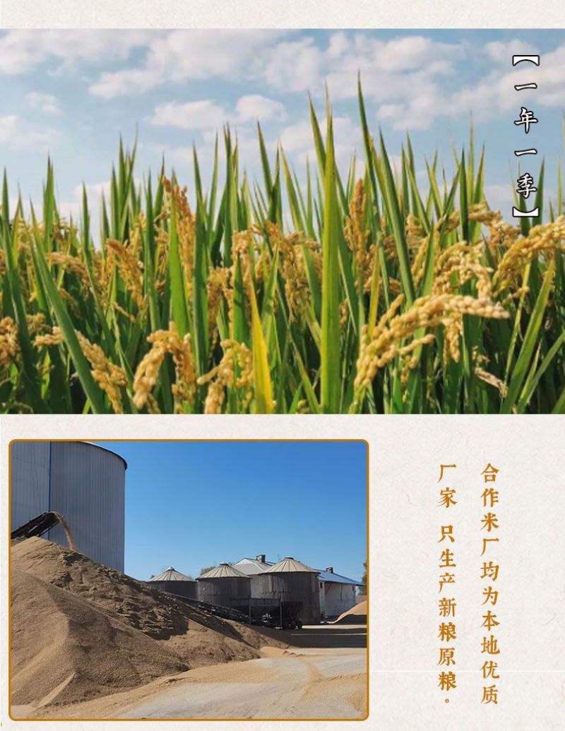 盘锦蟹田新大米批发