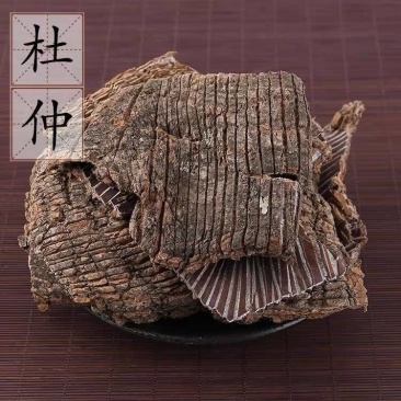 【舜波中药材】杜仲皮量大从优物美价廉产地直供