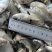 微山湖生态鳑鲏鱼新鲜净堂淡水鱼速冻通货全国发货量大从优